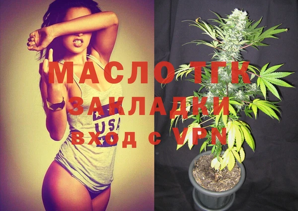 мдпв Вяземский