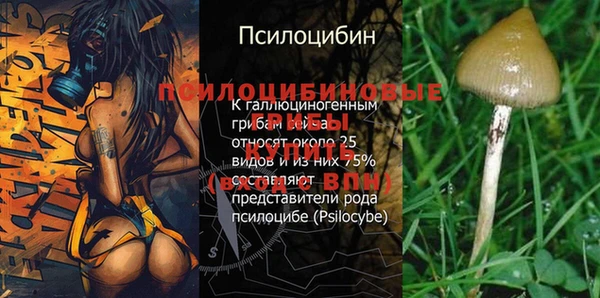 каннабис Вязьма