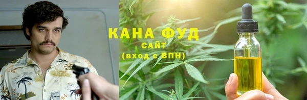 мдпв Вяземский