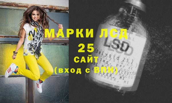 мдпв Вяземский