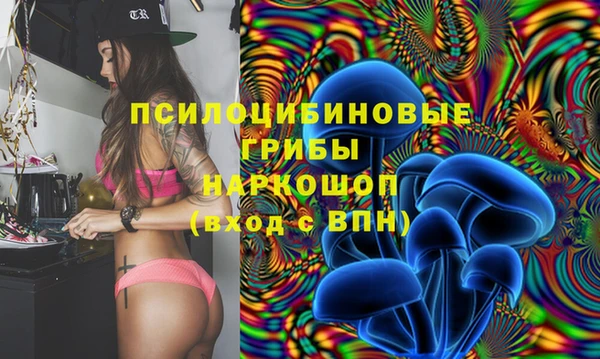 мдпв Вяземский