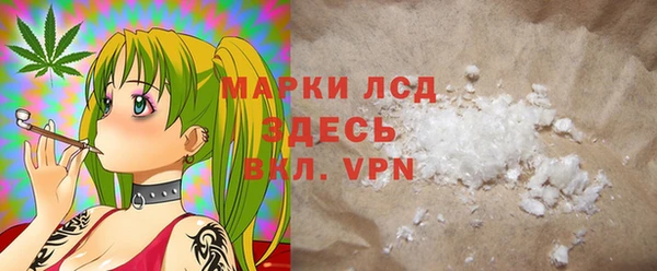 мдпв Вяземский