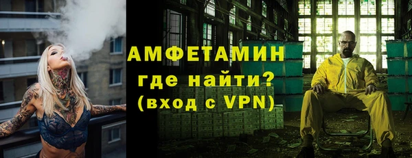 мдпв Вяземский