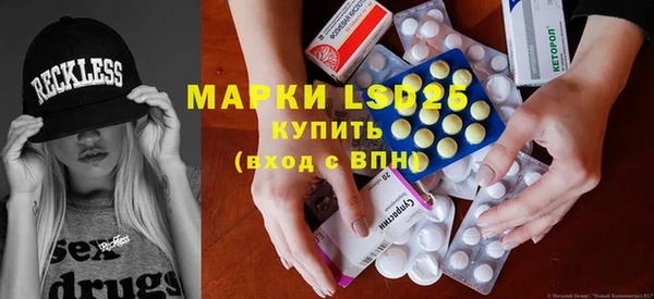 мдпв Вяземский
