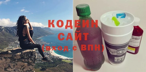 мдпв Вяземский