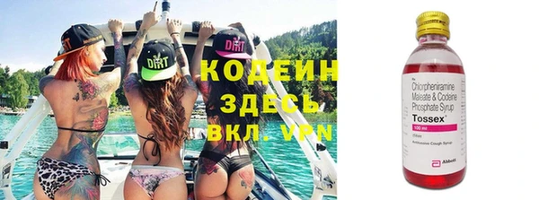 мдпв Вяземский