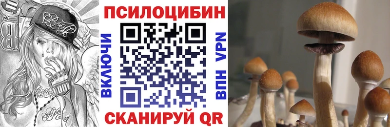 купить  сайты  Черкесск  Псилоцибиновые грибы MAGIC MUSHROOMS 